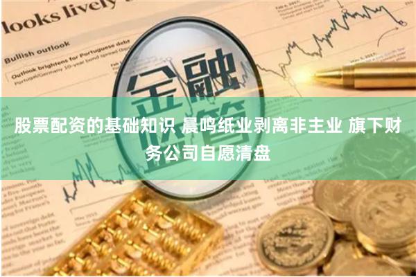 股票配资的基础知识 晨鸣纸业剥离非主业 旗下财务公司自愿清盘