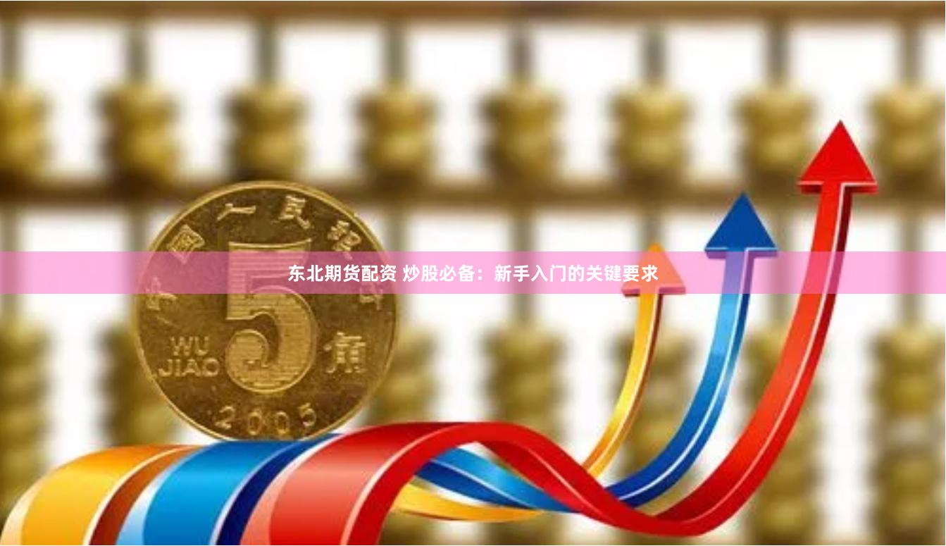东北期货配资 炒股必备：新手入门的关键要求